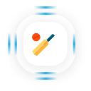 Fantasy Cricket